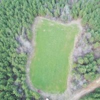 98 Acres Copiah County Hunting Land for Sale SW MS images 6