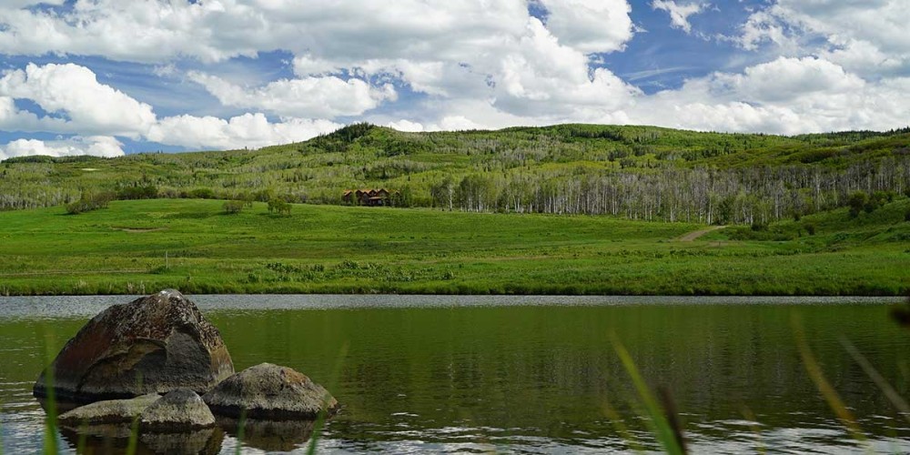 Sanctuary Ranch featured image