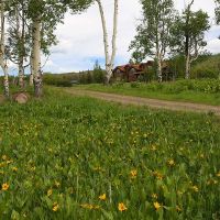 Sanctuary Ranch images 3