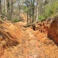 40 Acres Timberland for Sale  McComb  Pike County  MS- SW MS