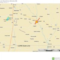 40 Acres Timberland for Sale  McComb  Pike County  MS- SW MS images 5