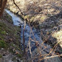 Whitetail Hunting Property w Home For Sale Richland County WI images 6