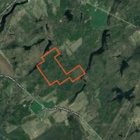 150 acres Timber and Hunting Land Madrid NY images 3