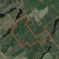 150 acres Timber and Hunting Land Madrid NY images 5