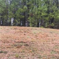 20 Acres in Lawrence County in Monticello  MS