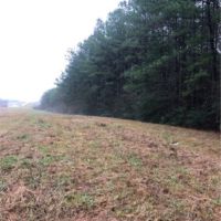 20 Acres in Lawrence County in Monticello  MS images 2