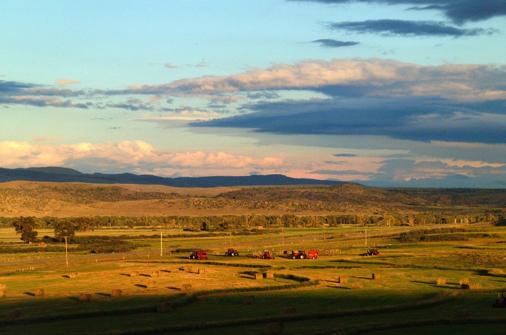 Stonegate featured image