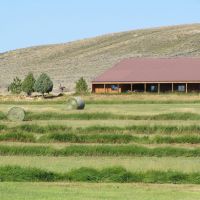Stonegate images 5