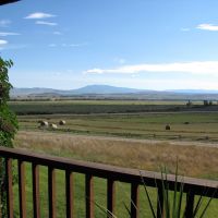 Stonegate images 6