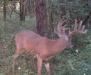 7500+ Acres of Privately Managed Lands  Perfect for Whitetail Hunting