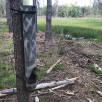 80 ac - Timberland with Home Site Potential - PRICE REDUCED images 5