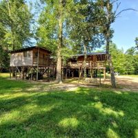 104 Acres with a Cabin in Jefferson Davis County at 319 Polk-Atwood Road in Mount Olive  MS images 2