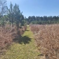 8.5 acres with Creek Frontage in Amite County