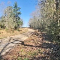 8.5 acres with Creek Frontage in Amite County images 2