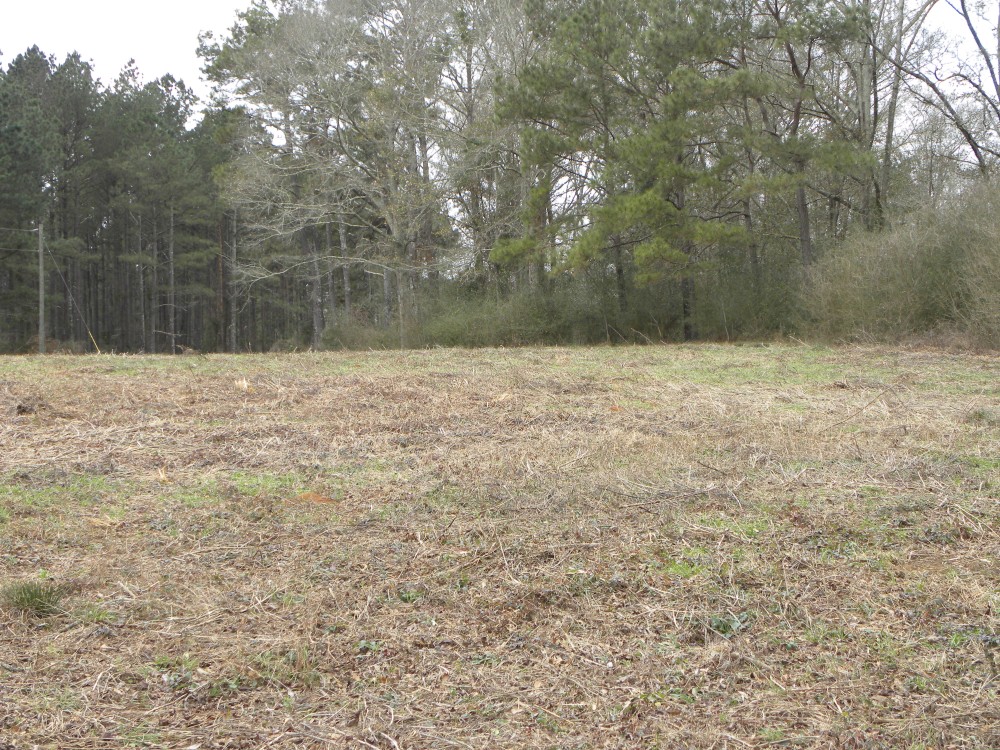 24-009w-hall-hunting-and-timber-tract featured image