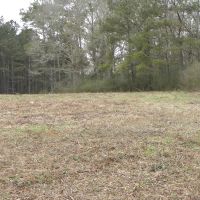 24-009w-hall-hunting-and-timber-tract images 1