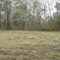 24-009w-hall-hunting-and-timber-tract images 3