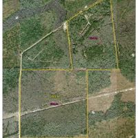 160 Acres off of Linscomb Road images 2