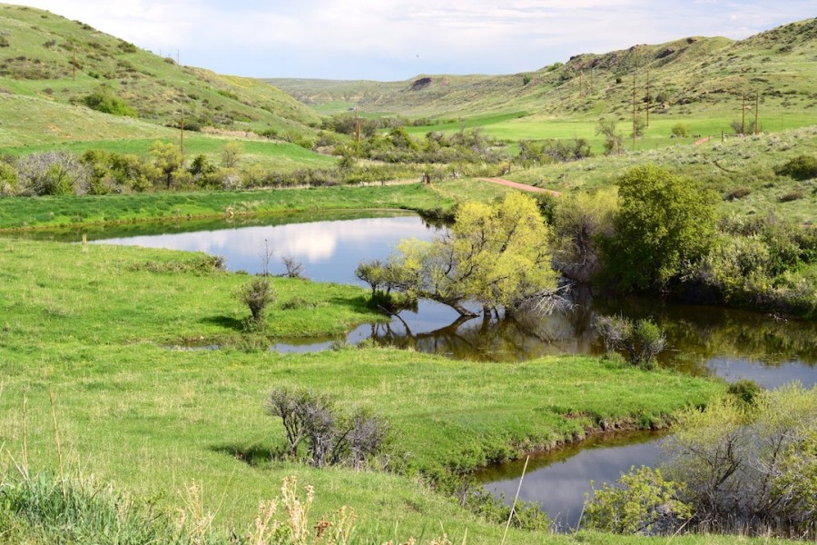 Upper Cat Creek Rd. - West featured image