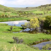 Upper Cat Creek Rd. - West