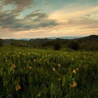 Fish Creek Lodge images 2