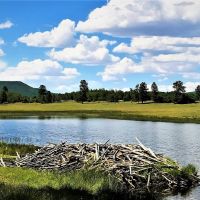 Salter Y Ranch images 2