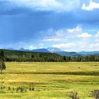 Salter Y Ranch images 3