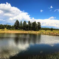 Salter Y Ranch images 5