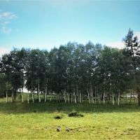 Salter Y Ranch images 6