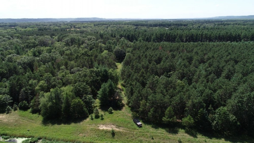 57 Wooded Acres Near Wisconsin River in Iowa County WI featured image