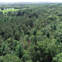57 Wooded Acres Near Wisconsin River in Iowa County WI images 2