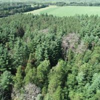 57 Wooded Acres Near Wisconsin River in Iowa County WI images 3
