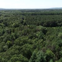 57 Wooded Acres Near Wisconsin River in Iowa County WI images 4