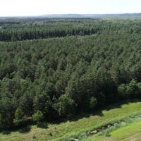 57 Wooded Acres Near Wisconsin River in Iowa County WI images 6
