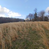 Hunting &nbsp; Recreational Land For Sale in Montgomery County  VA images 4