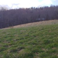 Hunting &nbsp; Recreational Land For Sale in Montgomery County  VA images 5