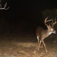 437 ac - Deer Hunting WRP with Camp Location images 3