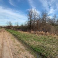 437 ac - Deer Hunting WRP with Camp Location images 5