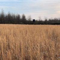 437 ac - Deer Hunting WRP with Camp Location images 6