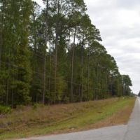 Osteen Road