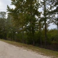 Osteen Road images 3