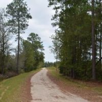 Osteen Road images 2