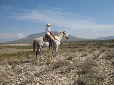 3220 acres in Brewster County  Texas featured image
