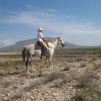 3220 acres in Brewster County  Texas