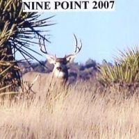 3220 acres in Brewster County  Texas images 3