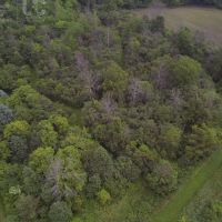 Vacant Land For Sale in Washington County images 3