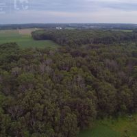 Vacant Land For Sale in Washington County images 6