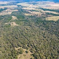 160 &nbsp; - Acres - County Road 190 Perry OK 73077 images 4