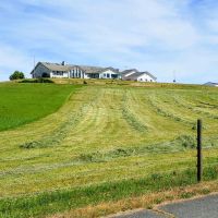 Beaver Creek Charolais Ranch images 2