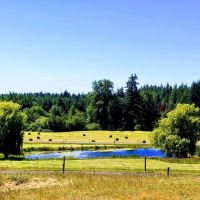 Beaver Creek Charolais Ranch images 3